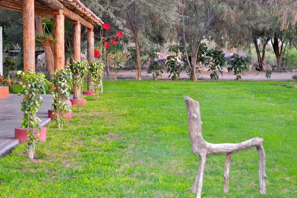 Hotel Fundo San Rafael Nazca Extérieur photo
